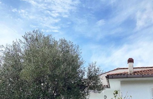Palinuro Villa | Villa Carmela