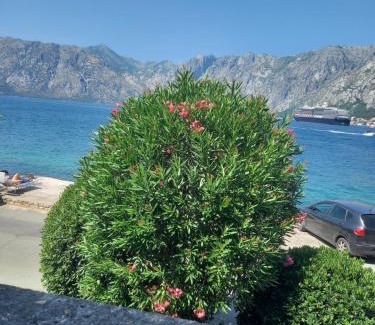 Prcanj Villa | Villa Carmen