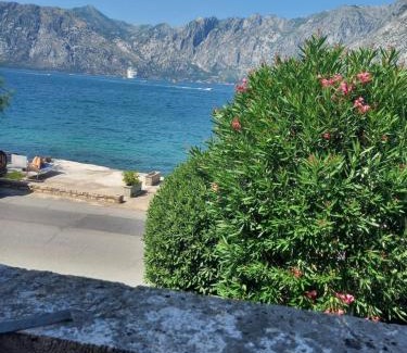Prcanj Villa | Villa Carmen