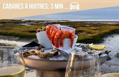 Gujan-Mestras House | Villa Chantaco Bassin Arcachon