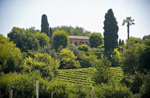 Potenza Picena Villa | Villa Chloe