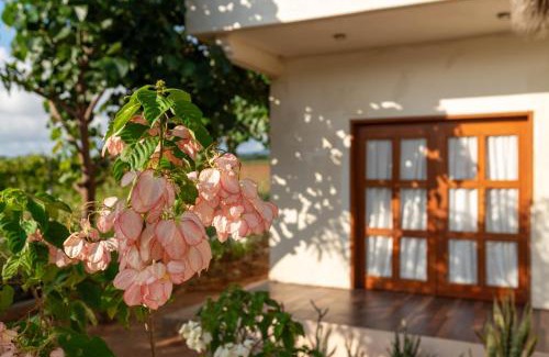 Santa Maria Colotepec House | Villa Cielo de Diamantes