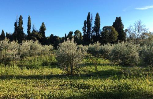 St.-Remy-de-Provence House | Villa Cigalon