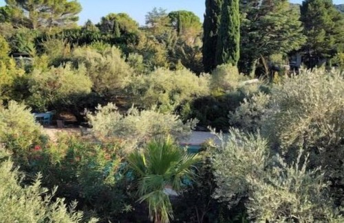 Lirac Villa | Villa Contemporaine Entre Oliviers et Garigues