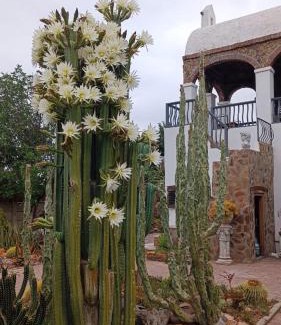 Beaufort West House | Villa Contessa