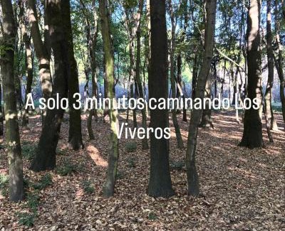 Santa Catarina Bed & Breakfast | Villa Coyoacan