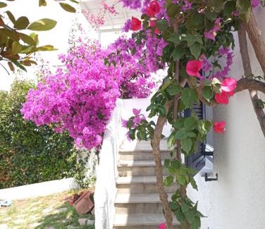 Sithonia House | Villa Danai