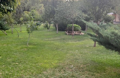 St.-Remy-de-Provence Villa | Villa De Anna