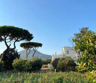 Torre del Greco House | Villa De Cillis Carafa