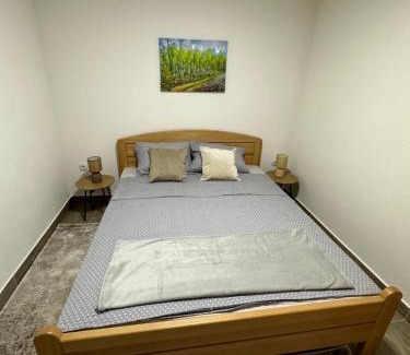Babanovac Apartment | Villa Dejana Vlašić