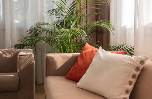 Padova Bed & Breakfast | VILLA DUE GIARDINI