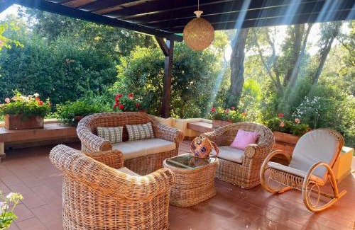Punta Ala House | Villa Elisa