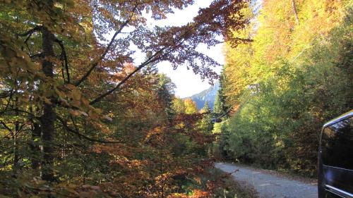 Predeal Bed & Breakfast | Villa Elitte Predeal