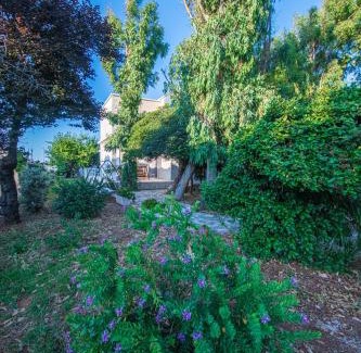 Municipio 1 Villa | Villa Eucalipti sul mare