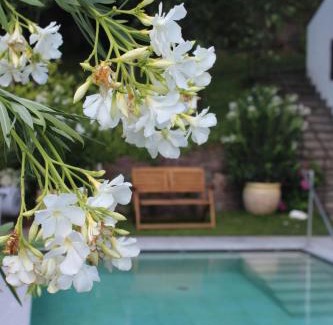 Tirolo Apartment | Villa Falkner