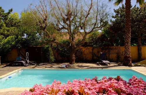 Argeles-sur-Mer Villa | Villa for 8 people with private pool and 1200m2 of land