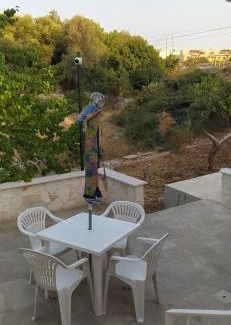 Polignano a Mare Apartment | Villa Francesca Appartamento Meraviglioso