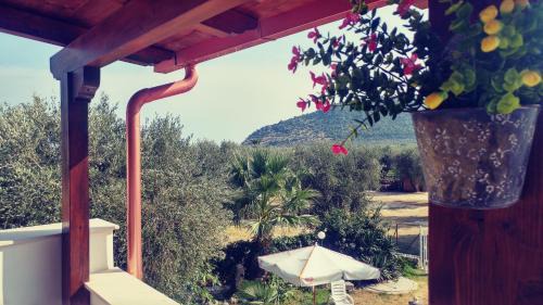 Mattinata Apartment | Villa Frantoio