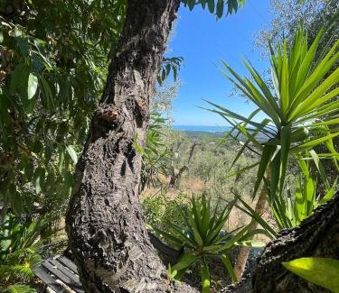 Vico del Gargano Apartment | Villa Gargano