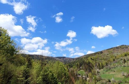 Yaremche Apartment | Villa Gold