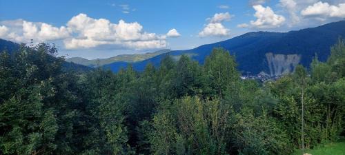 Yaremche Apartment | Villa Gold