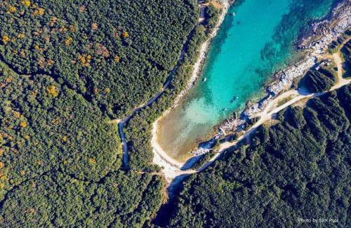Liznjan Villa | Villa Grande Arche Istria