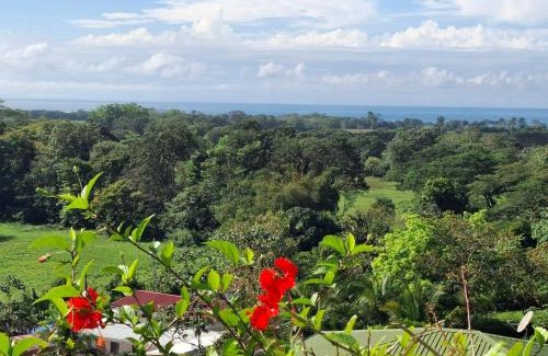 Playa Hermosa Apartment | Villa Hermosa Claudia - nature and relaxation