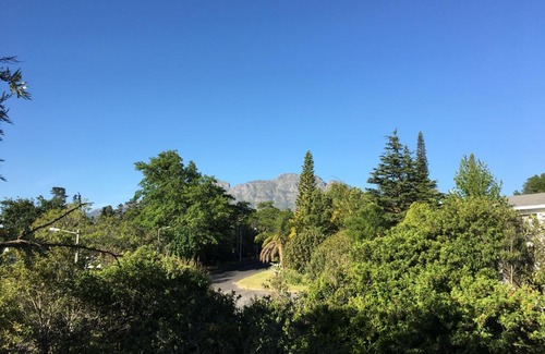 Stellenbosch House | Villa Honeysuckle Luxury Villa
