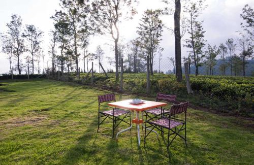 Wellington Villa | Villa Hugel by VEO - Part of StayVista