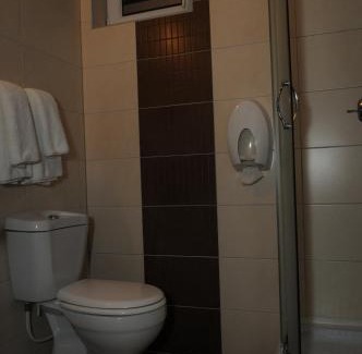 Veliko Gradiste House | Villa i SPA Stević