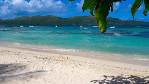 Las Galeras Villa | Villa Ibiscus