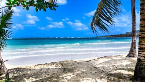 Las Galeras Villa | Villa Ibiscus