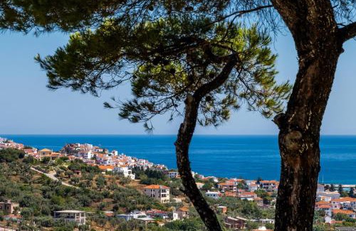 Skopelos Villa | VILLA IFIGENEIA SKOPELOS με πισίνα και υπέροχη θέα