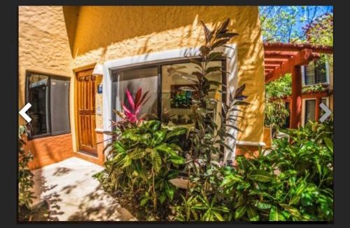 Playacar Villa | Villa Ikal
