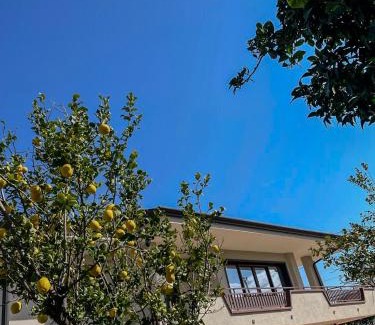 Eboli Villa | Villa il Profumo degli Aranci