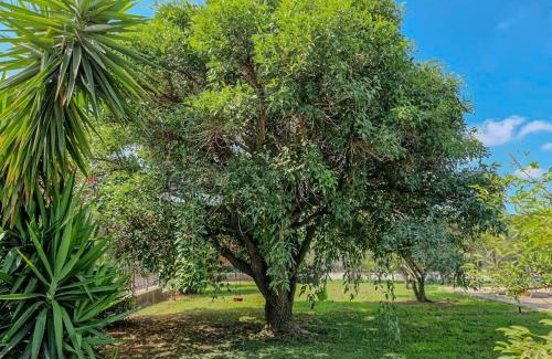 Eboli Villa | Villa il Profumo degli Aranci