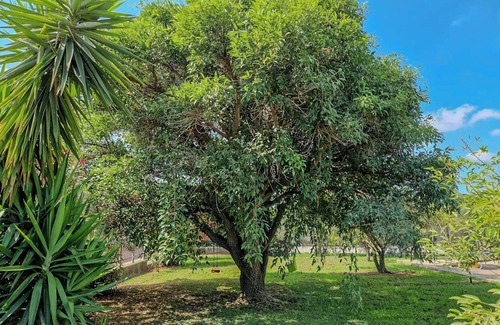 Eboli Villa | Villa il Profumo degli Aranci