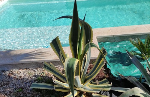 Le Cannet-des-Maures Villa | Villa in the countryside 30 minutes from the beach