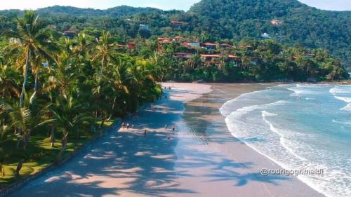 Cidade Jardim Tom Villa | Villa in the middle of the Atlantic Forest in private condo