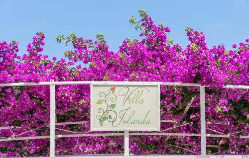 Piano di Sorrento House | Villa Iolanda