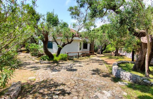 Marina Di Camerota House | Villa Irma