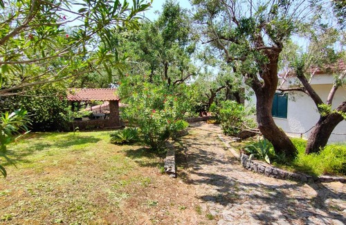 Marina Di Camerota House | Villa Irma