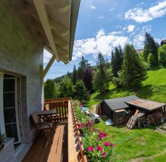 Janske Lazne House | Villa Jana