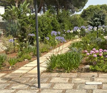 L'Assunta House | Villa Jobè
