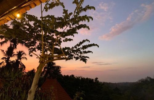 Kubutambahan House | Villa Kepuh