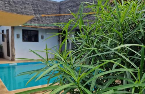 Nungwi Bed & Breakfast | Villa Kumi