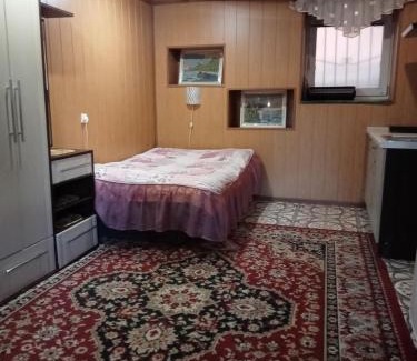Truskavets House | Villa L'vovskaia