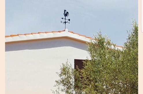 Alghero Villa | Villa La Rucchetta Alghero