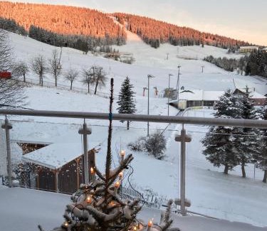 Oberwiesenthal Apartment | Villa Laas Oberwiesenthal