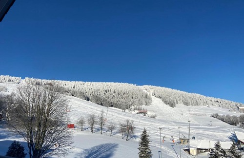 Oberwiesenthal Apartment | Villa Laas Oberwiesenthal